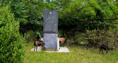 Borut Peterlin: Tour de Dayton