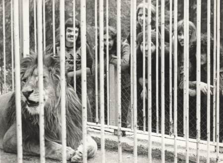 Prepovedano plakatiranje: zgodba o Buldožerju