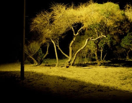 TOMO BREJC: FOTOGRAFIJE 2008