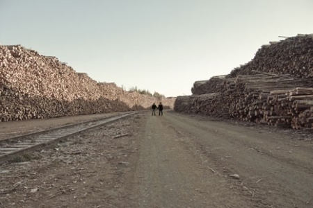 DISTRUKTURA: FACE TO FACE