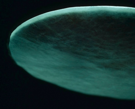 GYULA FODOR: NOOSPHERE