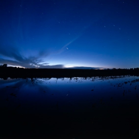 LANDSCAPE IN THE WINTER