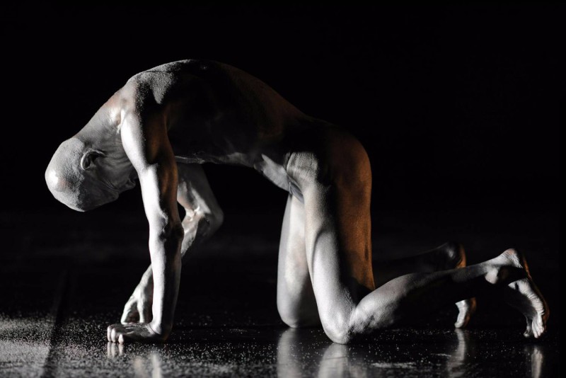 ko_murobushi_lsz_3359