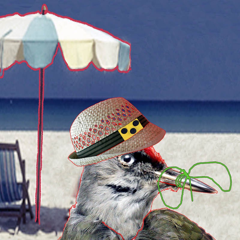 lipusmarko_fc_12end_web