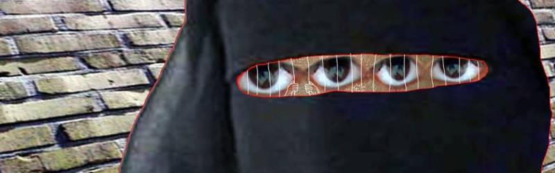 Fotocartoon – Marko Lipus 2007