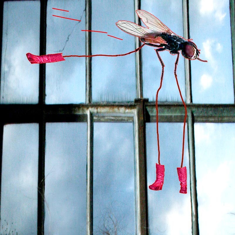 lipusmarko_fc_9end_web