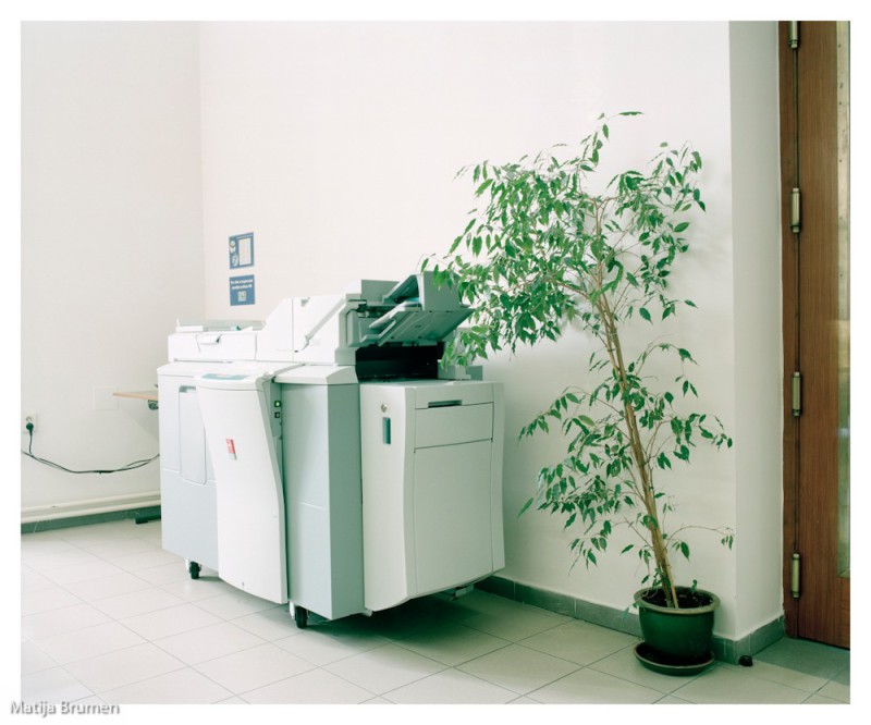 roze_praga27_umazanegativ