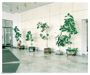 Javni prostori / Rože / Praga