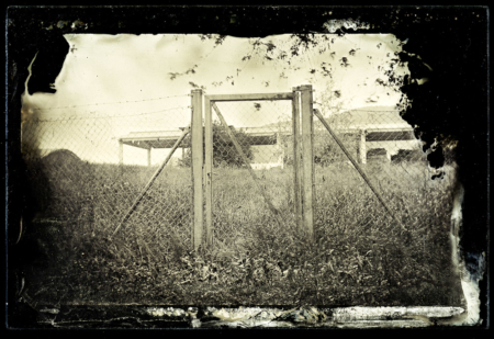 BORUT PETERLIN: The Great Depression