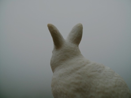 Nenad Malešević: Documents / Аn Introduction to the Study of Discontinuance