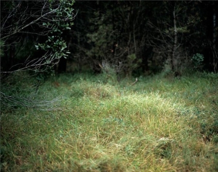 Aftermath / Changing Cultural Landscape – hosting in Sarajevo