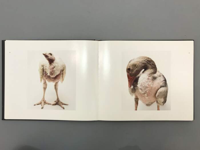 Photoport / Challenges of contemporary Slovak photography - Image 6