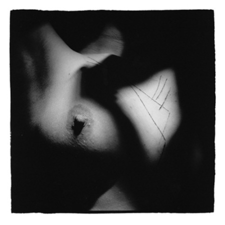 Goran Bertok: Body, Meat and Other Stories