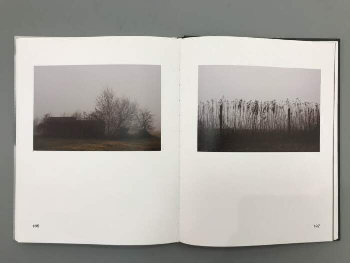 Darije Petković / Wonderland - Image 2