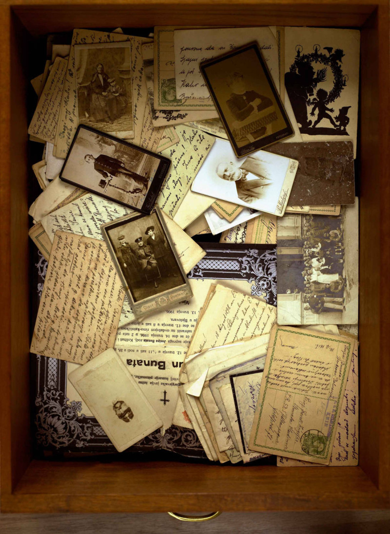 Jelena-Blagovic,-Family-Silver,2010-2