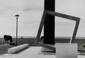 Branko Lenart: Big Sur Real