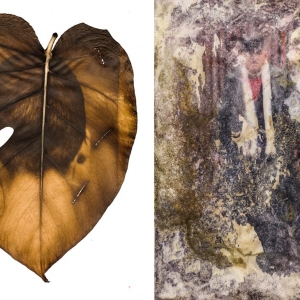 Domagoj Burilović: Post Factum in Tilyen Mucik: Flora Femina