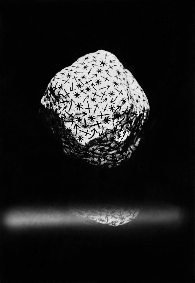 Sikora_1976 z cyklu Kolobeh zivota_Photon