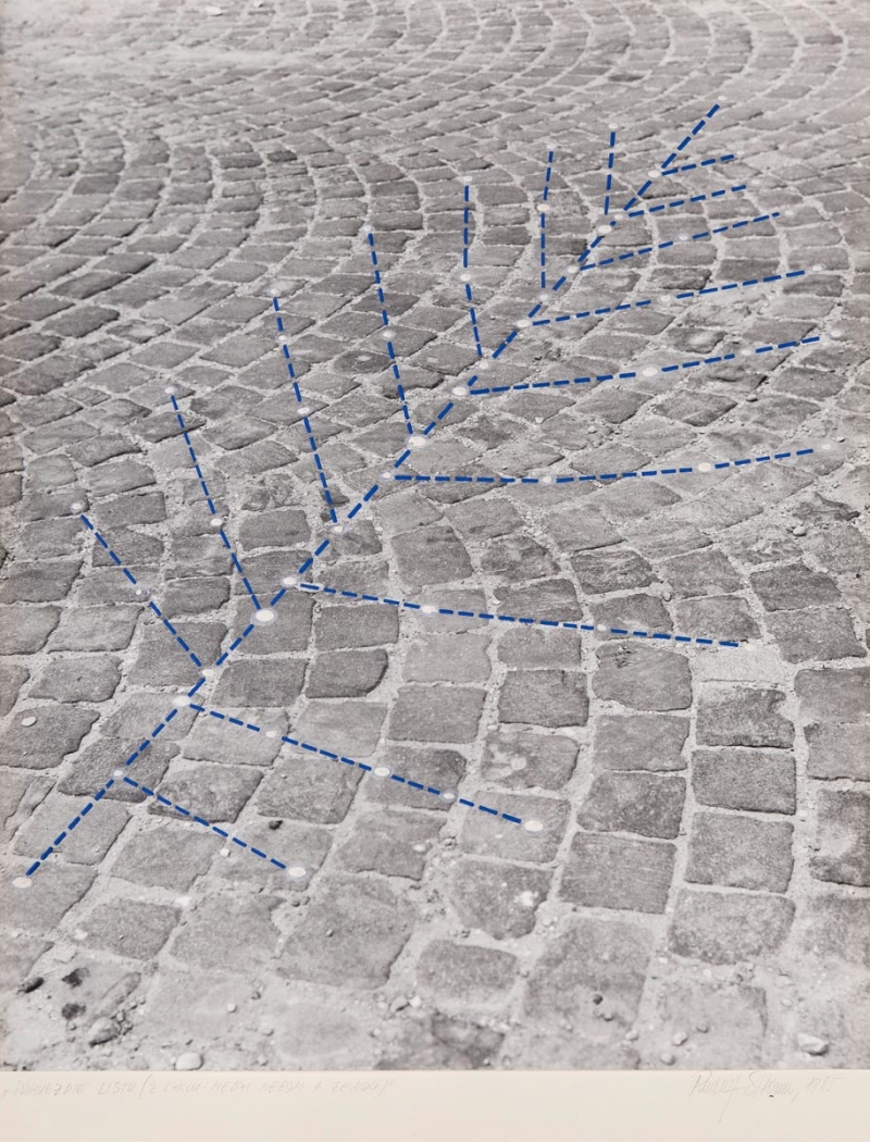 Sikora_1985 Suhvezdie listu medzi nebom a zemou_Photon