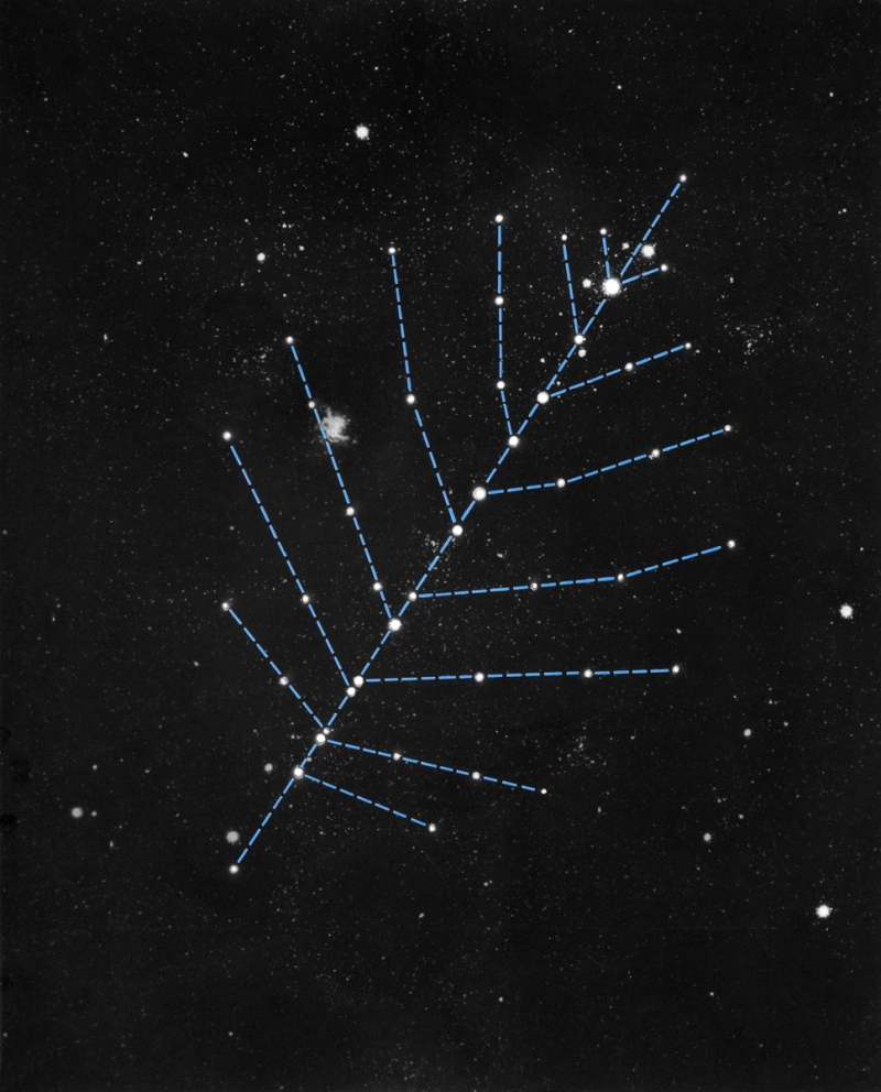 Sikora_1985 Suhvezdie listu_Photon