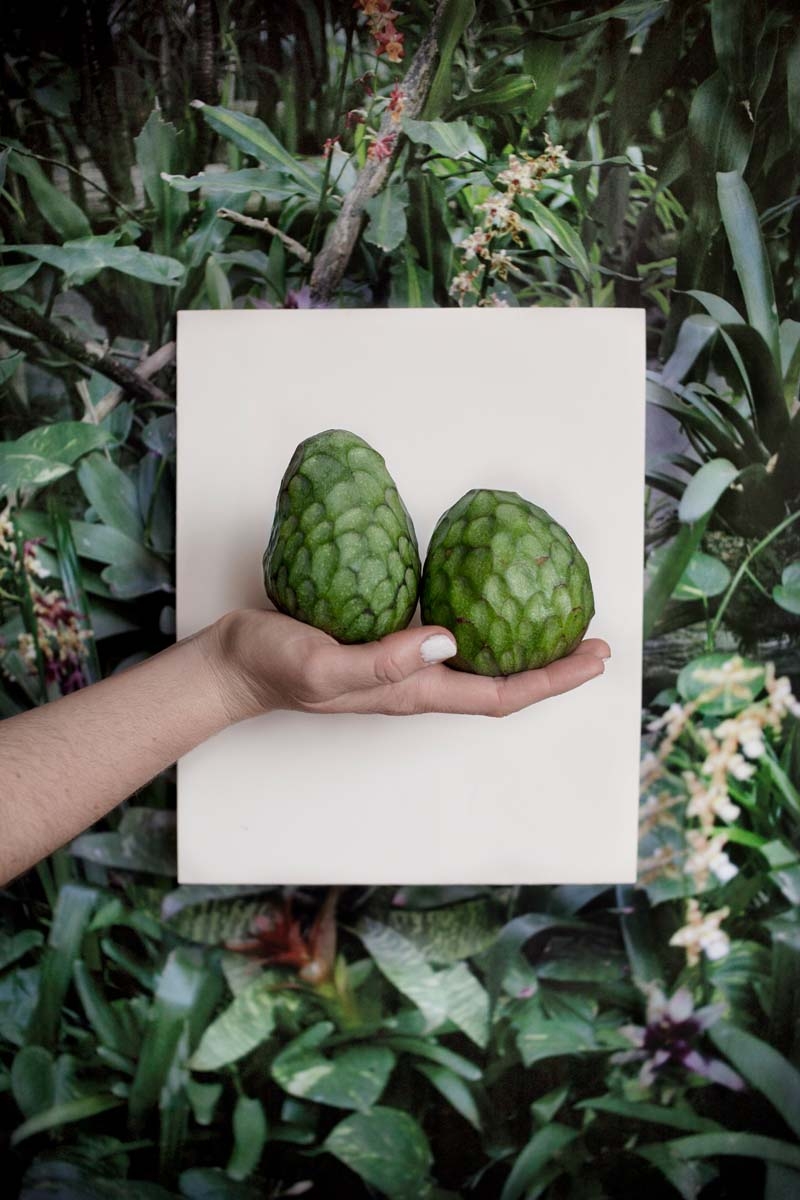 _MG_9540big90X60_photon