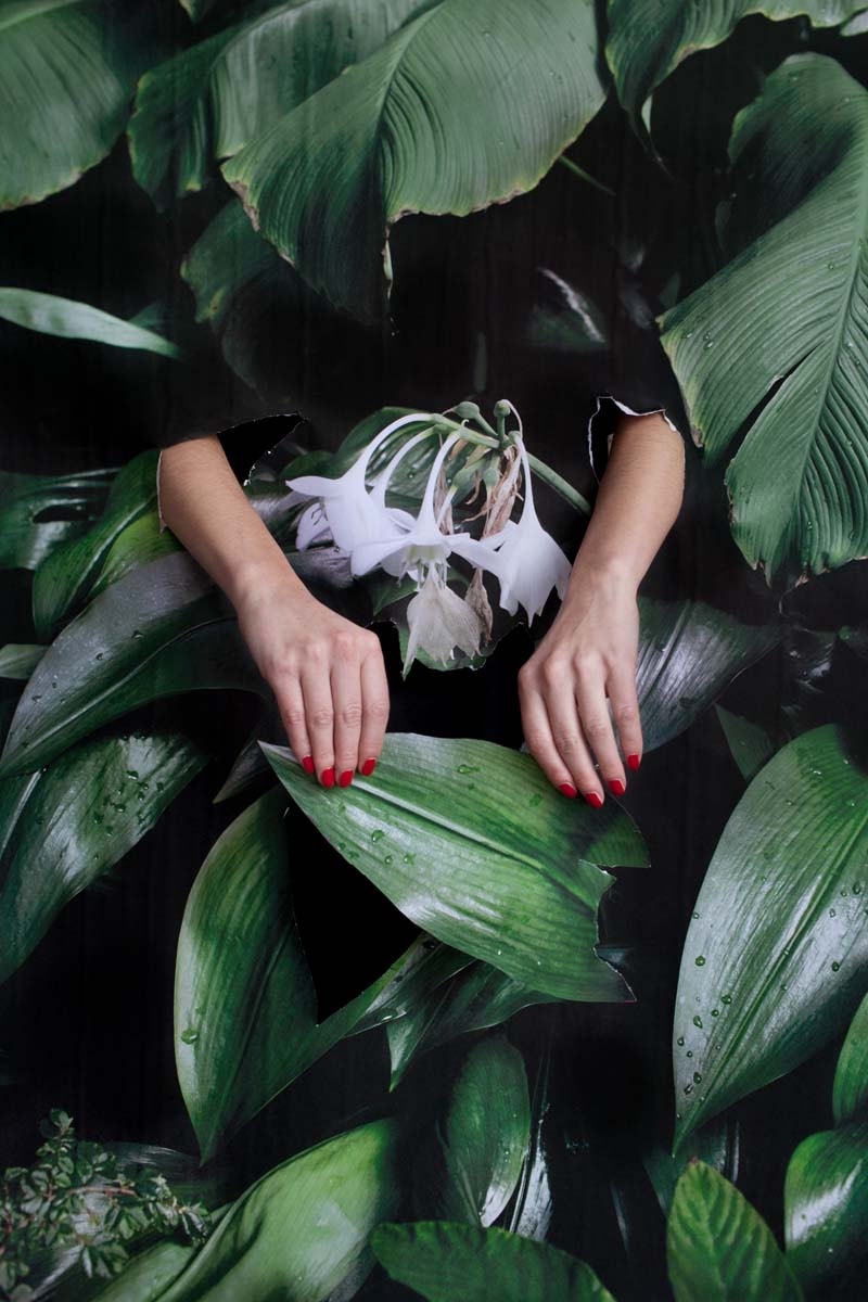 _MG_9747big90X60_photon