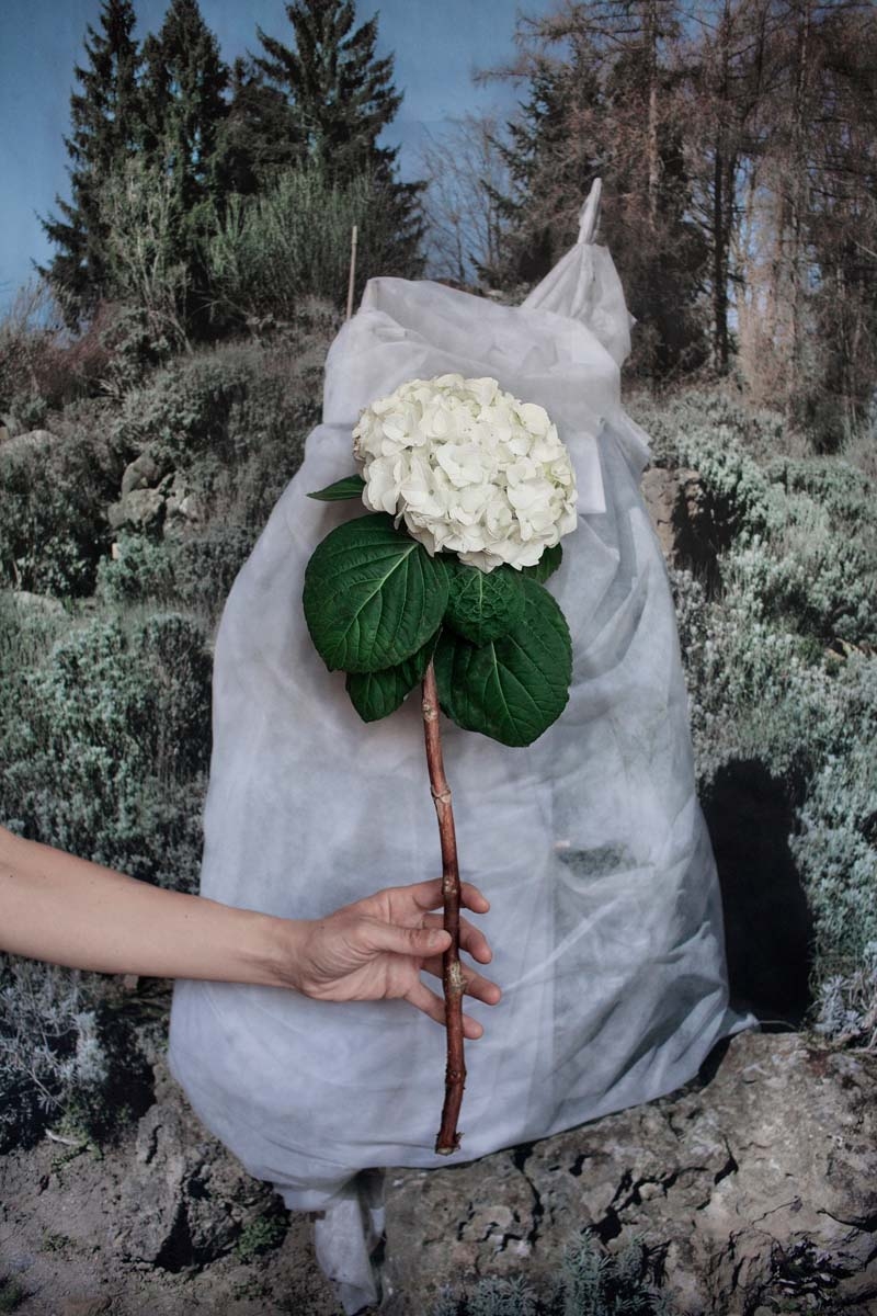 _MG_9860horteni eite90X60_photon