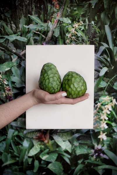 Vanja Bučan, Sequences of Truth and Deception, 2015-2019