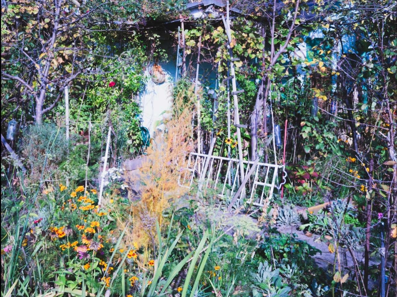 Aleksandra Nowysz, Better Tomorrow, 2017-2018