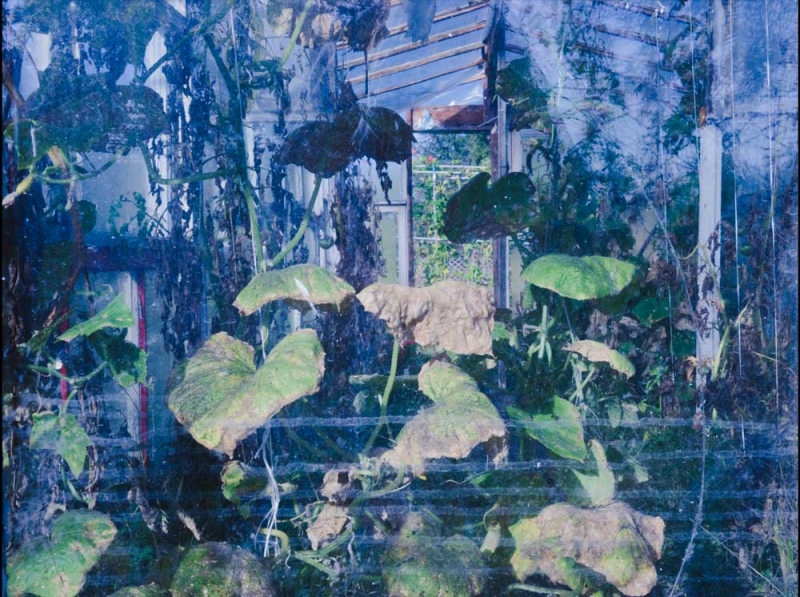 Aleksandra Nowysz, Better Tomorrow, 2017-2018