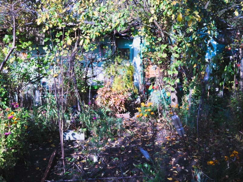 Aleksandra Nowysz, Better Tomorrow, 2017-2018