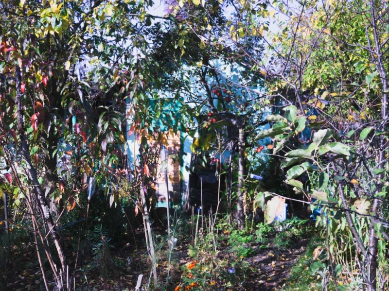 Aleksandra Nowysz, Better Tomorrow, 2017-2018