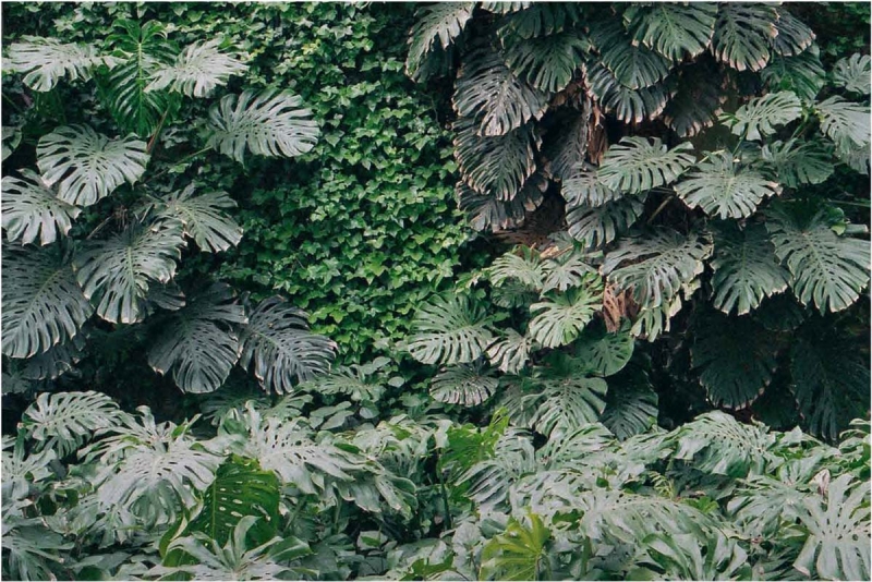 Jaka Bulc, Waiting is a Delirium, 2014