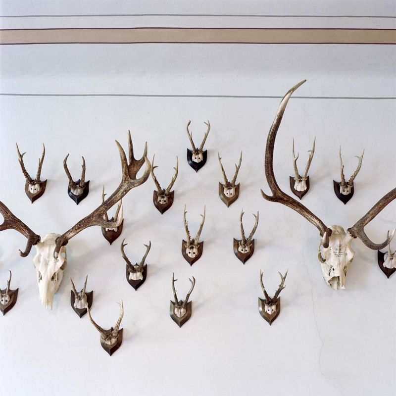 Tina Umer, Inside, 2014