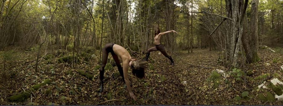 detail from Panoramas