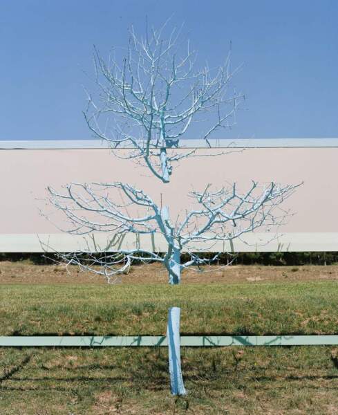 Markus Guschelbauer, Structuring Landscapes