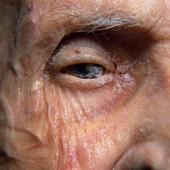 The Last Gaze / Postmortem Portrait in Contemporary Photography - Image 5