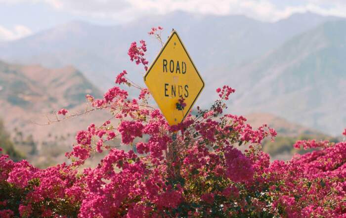 Dino Kužnik, Shaped by the West, Road Ends