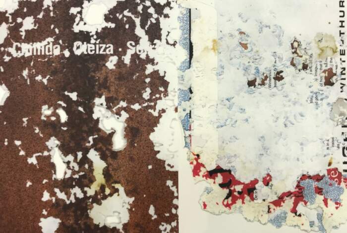 Joan Fontcuberta / Gastropoda - Image 2