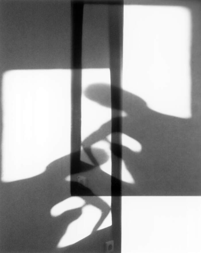 Eva Petrič / Irritated aggravated