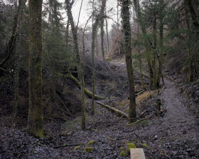 Lin Gerkman / Photonic Editions - Image 2