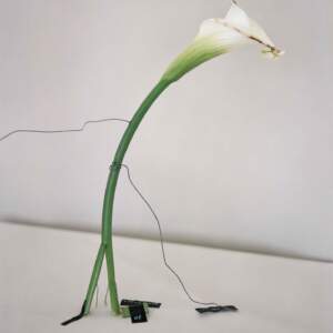 Jakub Stanek, from the series In Anticipation of the Sun