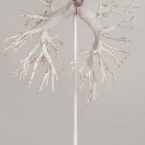 Jakub Stanek, from the series In Anticipation of the Sun