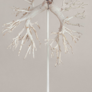 Jakub Stanek, iz serije V pričakovanju sonca