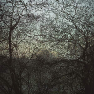 Tomo Brejc, First Blossoms, 2021