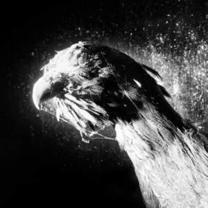 Jon Žagar, Kvartir I