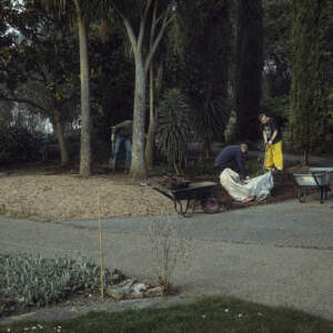 Tomo Brejc, Three Men as Gardeners, 2019