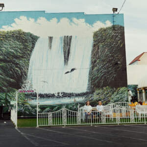Tomo Brejc, Waterfall, 2022