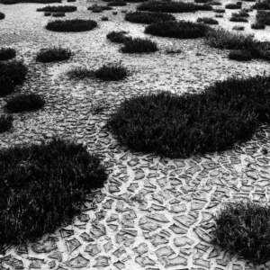 Sonja Zalar Bizjak, Na Sedlu (Stol), 1975