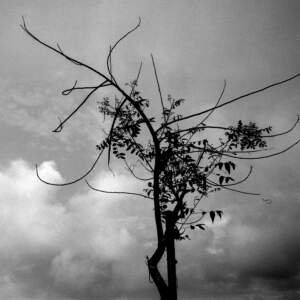Tanja Verlak, Midnight in Mumbai, 2012-2017, handmade silver gelatin print